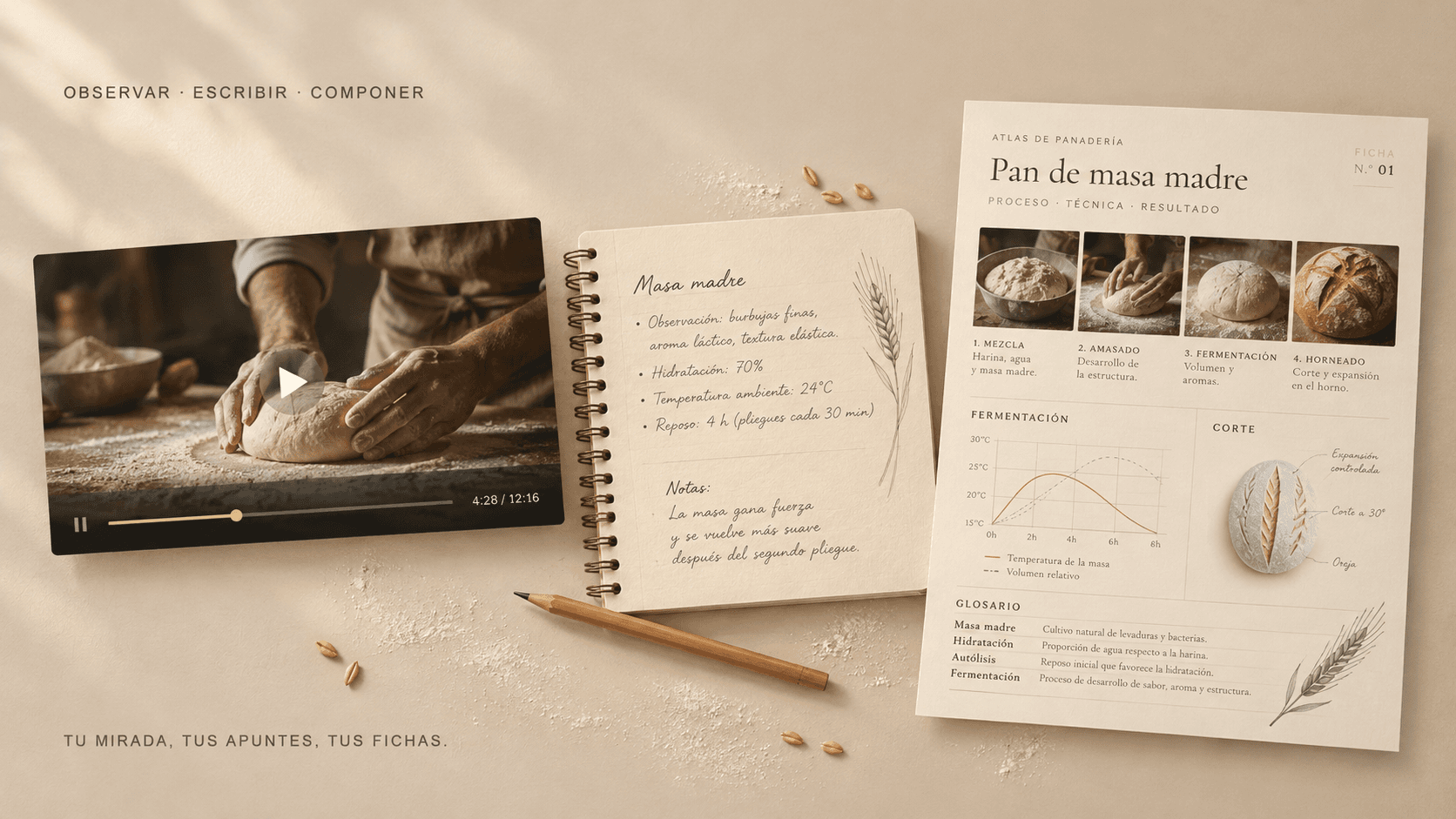 Atlas artesanal de panadería: vídeo de amasado, cuaderno de apuntes y ficha visual de pan de masa madre.